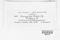 Image Associated With the Occurence